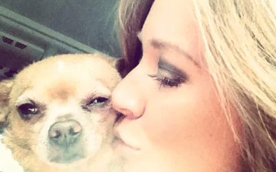 5 Tips-Hiring the Perfect Pet Sitter