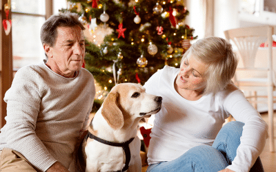 Holiday Pet Safety Tips