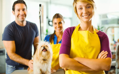 5 Best Groomers Las Vegas