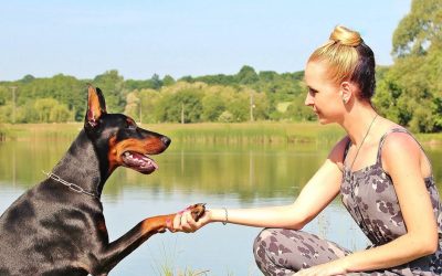 5 Best Pet Sitters Las Vegas