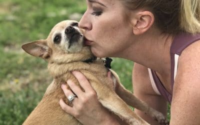 Dog Yoga Las Vegas-Have you tried it?