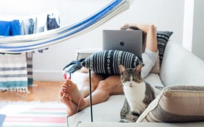 Book a Pet Sitter in Las Vegas