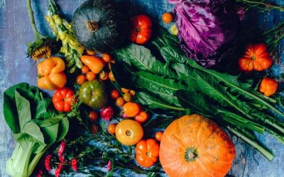Thanksgiving Foods Your Dog Will Love