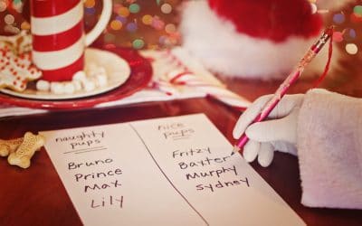Where to get Holiday Pet Photos with Santa Las Vegas