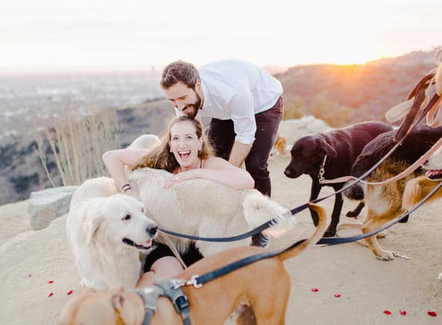 Man proposed with 16 Dogs and Shows up all other Men
