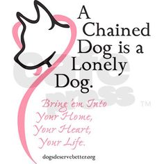 have a heart for chained dogs
