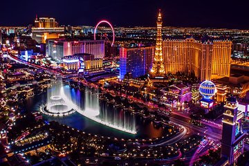 pet friendly hotels las vegas