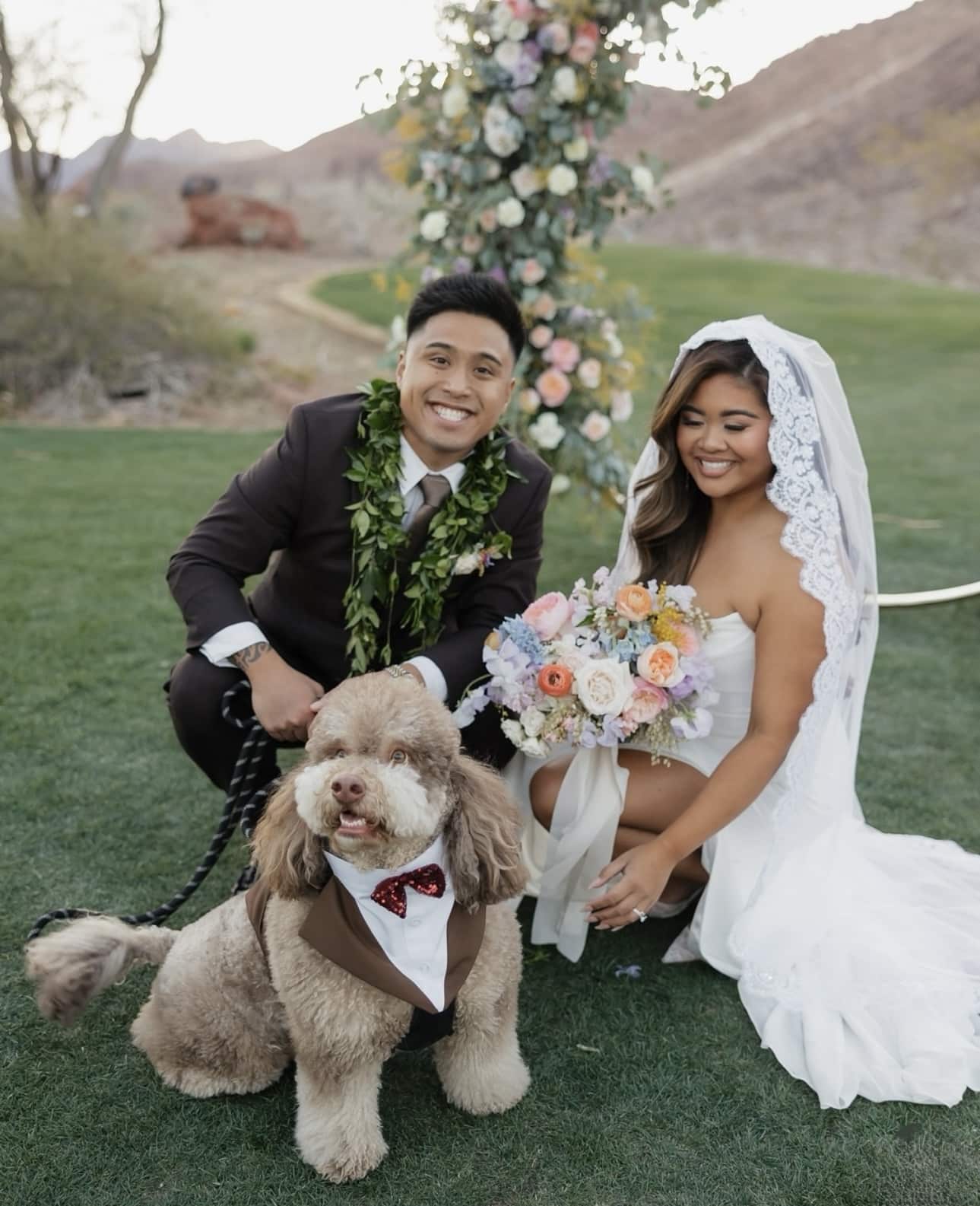 Wedding Pet Attendant in Las Vegas Wedding Pet Attendant in Las Vegas